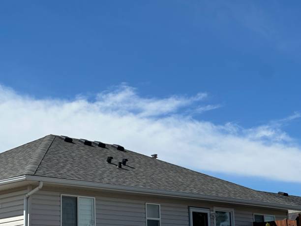 Gutter Replacement in Imlay City, MI